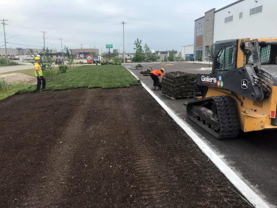 Gusta Sod's installation team laying sod at a commercial location